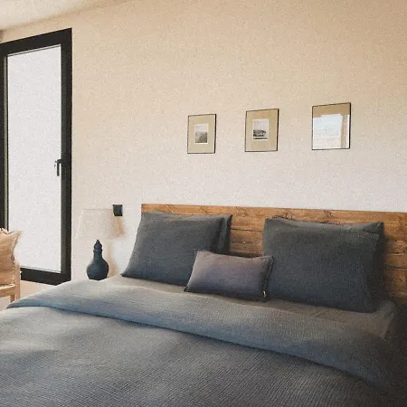 Seaweeds * Roque